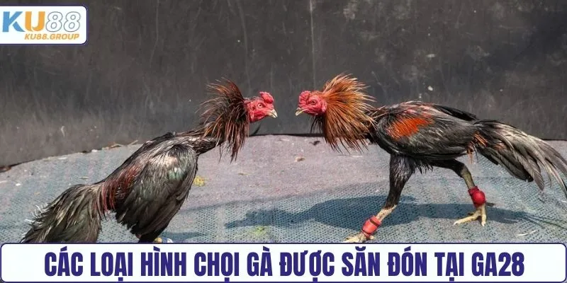 Các loại hình chơi được săn đón tại GA28