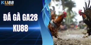 Đá Gà GA28 Tại KU88 - Sảnh Cược Hot Nhất Giới Chơi Gà Chọi