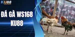 Đá Gà WS168 Tại KU88 Nóng Bỏng, Thưởng “Khủng” Tha Hồ Săn