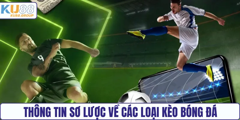 Hiểu rõ từng loại hình cược bóng đá phổ biến