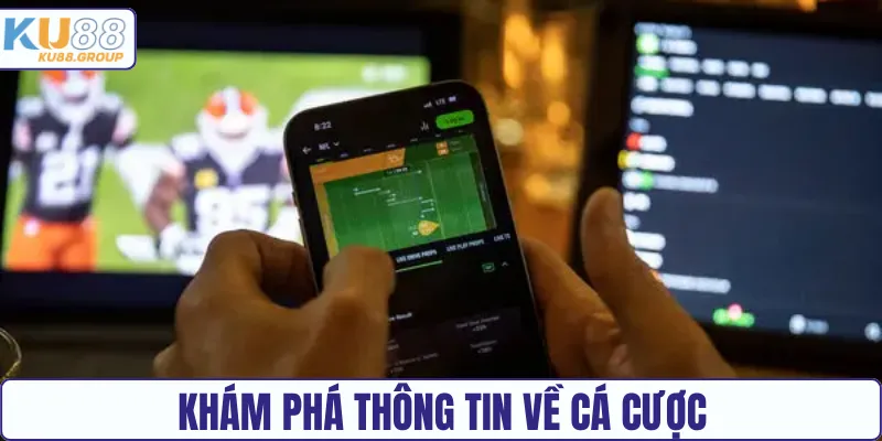 Khám phá thông tin về cá cược